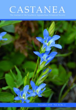 SABS Archives - Castanea